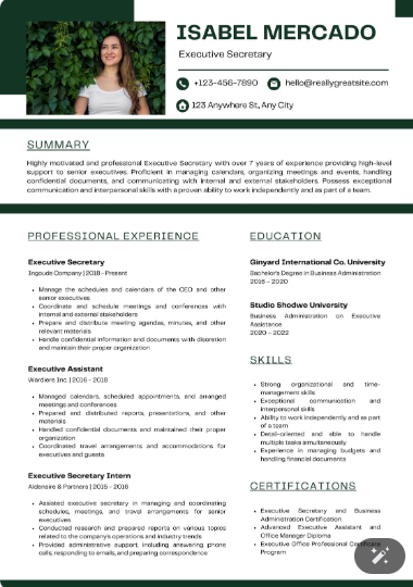 Professional CV Sample 26